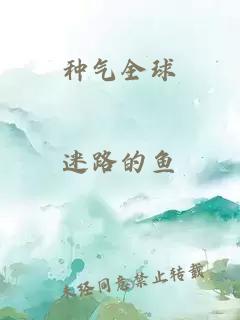 种气全球